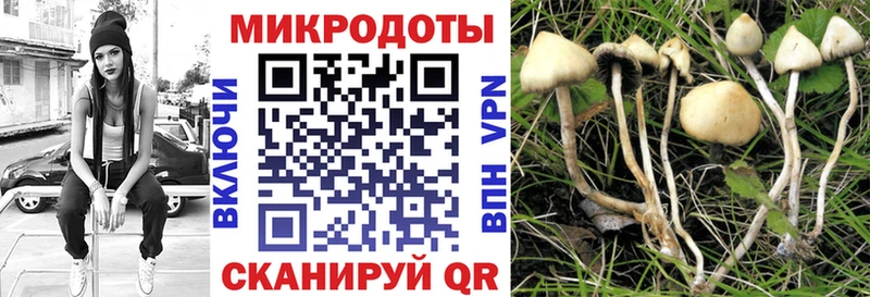 Купить где  Малая Вишера  Галлюциногенные грибы ЛСД 